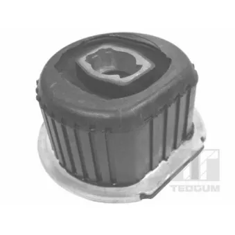 Suspension, corps de l'essieu TEDGUM 00414620