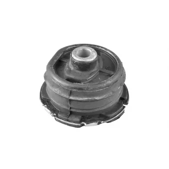 Suspension, corps de l'essieu TEDGUM 00415000