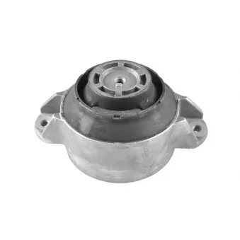 Support moteur TEDGUM 00415897