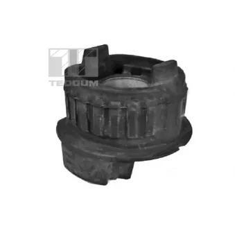 Suspension, corps de l'essieu TEDGUM 00416302