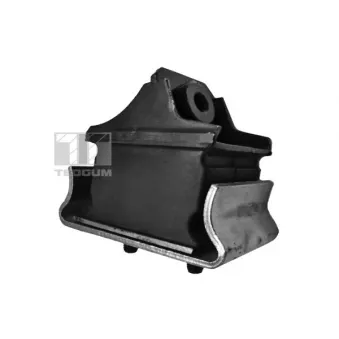 Support moteur TEDGUM 00416326