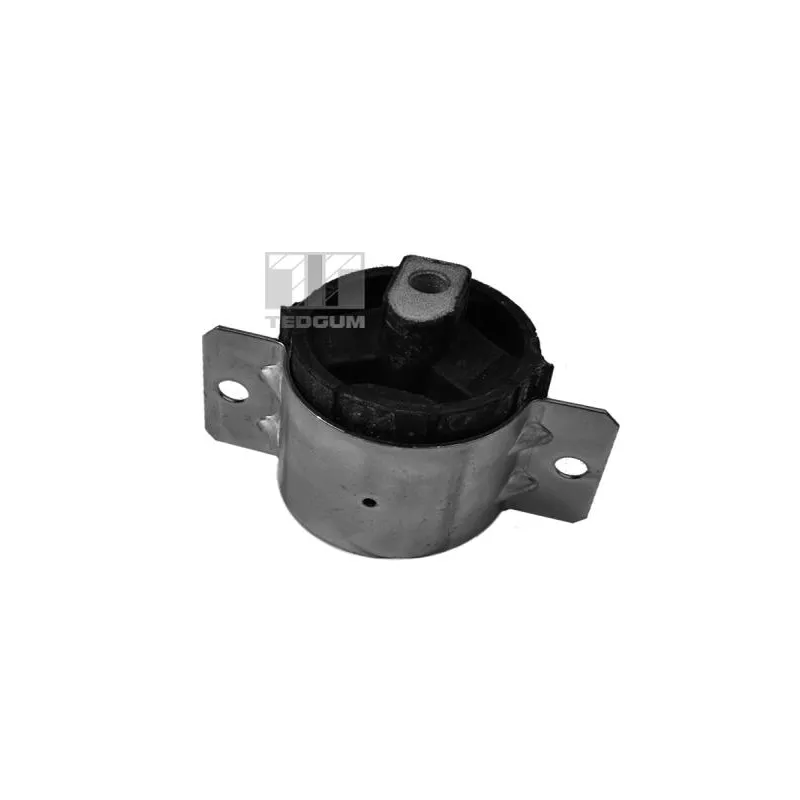 Suspension, support de boîte de vitesse manuelle TEDGUM 00416330