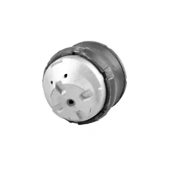 Support moteur avant droit TEDGUM