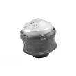 Support moteur avant droit TEDGUM 00416461 - Visuel 2