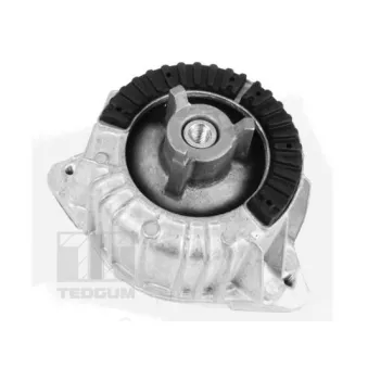 Support moteur avant gauche TEDGUM 00418473