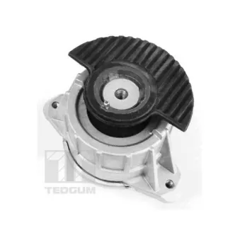 Support moteur TEDGUM 00418476