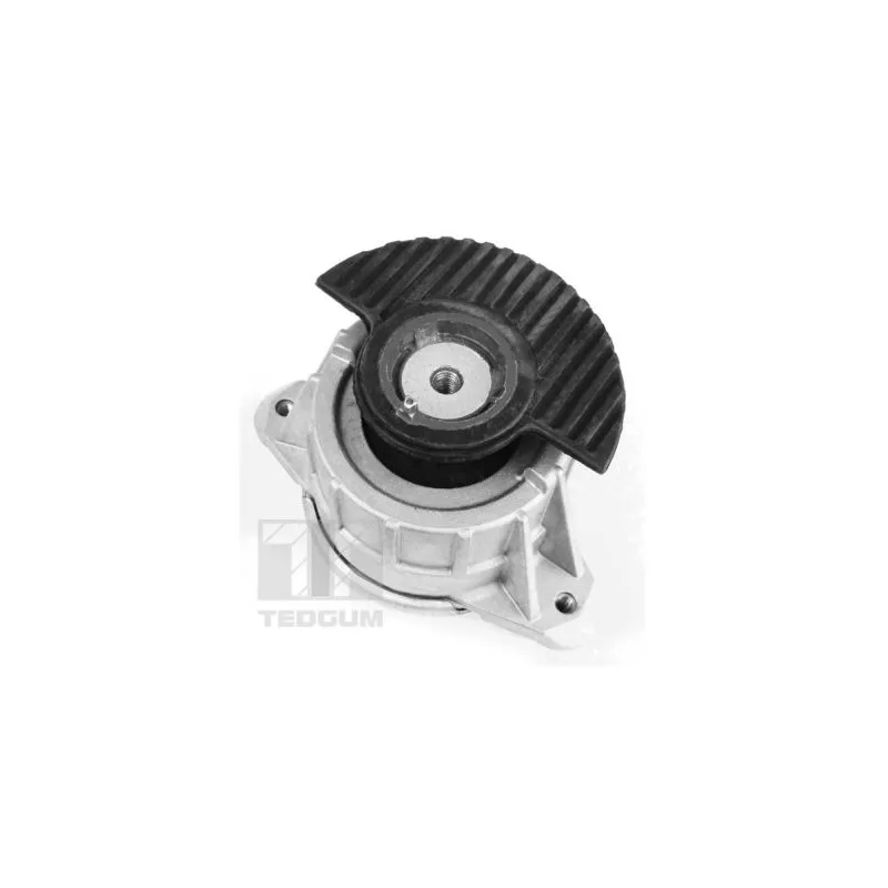 Support moteur TEDGUM 00418476