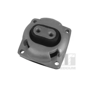 Suspension, support de boîte automatique TEDGUM 00418581