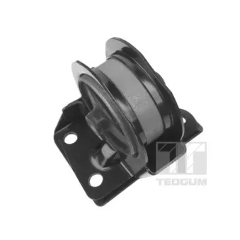 Support moteur TEDGUM 00447218