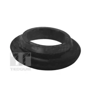 Patin de ressort TEDGUM 00448999