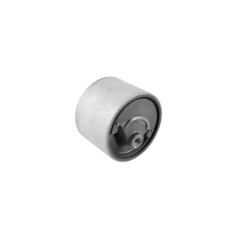 Support moteur TEDGUM 00461068