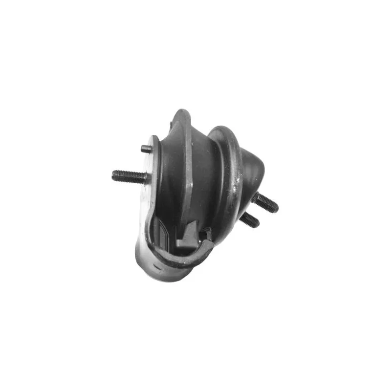 Support moteur avant gauche TEDGUM 00461993