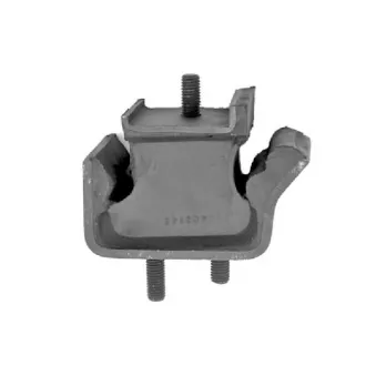 Support moteur TEDGUM 00462145