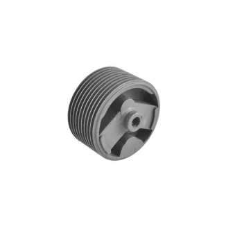 Support moteur avant gauche TEDGUM 00463831