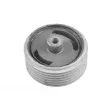 Support moteur TEDGUM 00465204 - Visuel 1