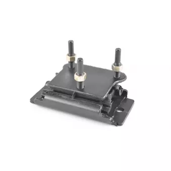 Support moteur TEDGUM 00466042