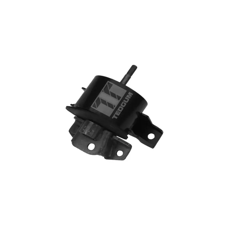 Support moteur arrière droit TEDGUM 00466064