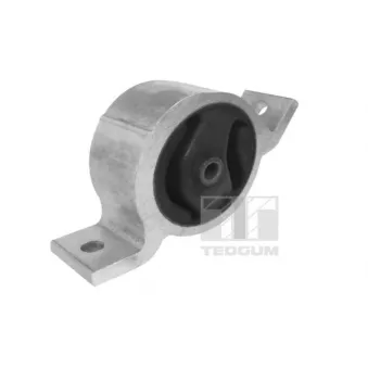 Support moteur TEDGUM 00466219
