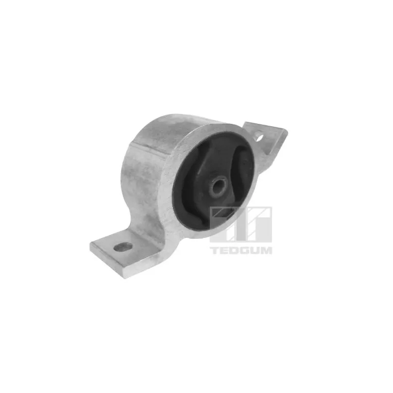 Support moteur TEDGUM 00466219