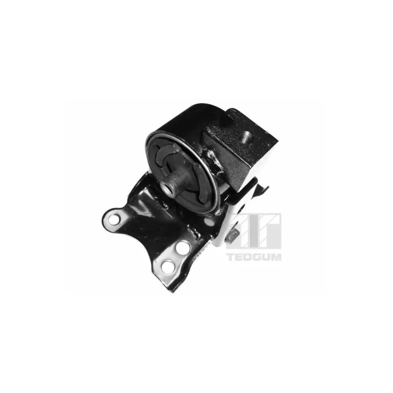 Support moteur avant gauche TEDGUM 00466350
