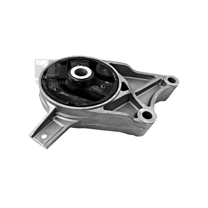 Support moteur TEDGUM 00500192