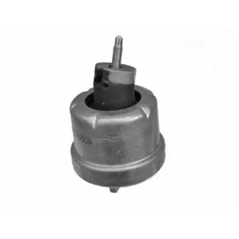 Support moteur avant gauche TEDGUM 00504643