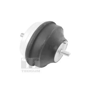 Support moteur TEDGUM 00504650