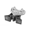 Support moteur avant droit TEDGUM 00504656 - Visuel 2
