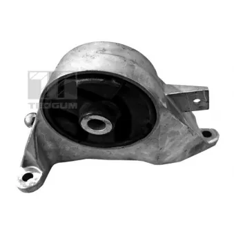 Support moteur TEDGUM 00505933