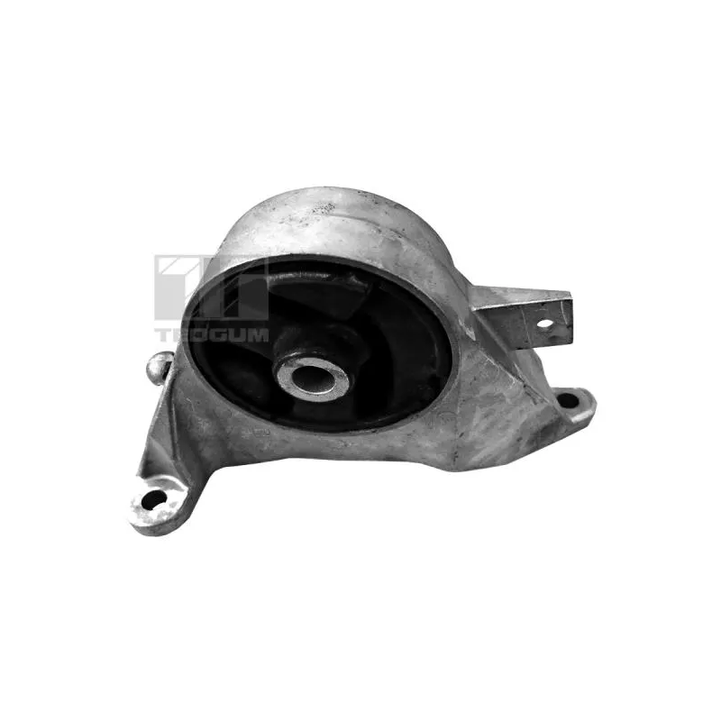 Support moteur TEDGUM 00505933