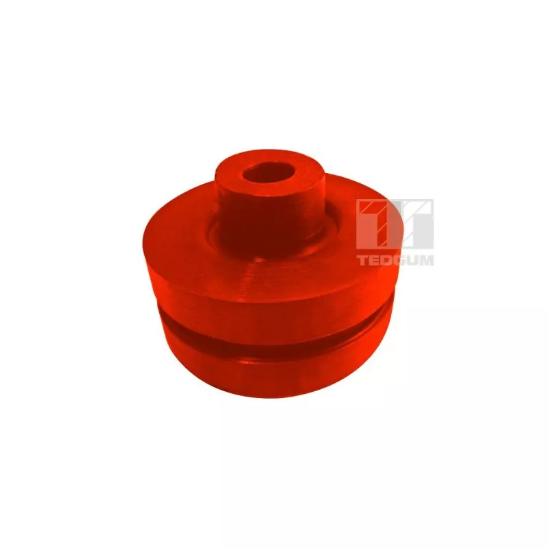 Support de jambe de suspension TEDGUM 00507902