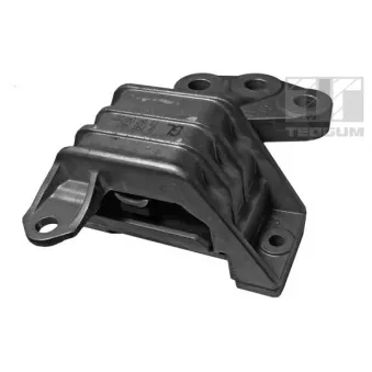 Support moteur avant droit TEDGUM 00507909