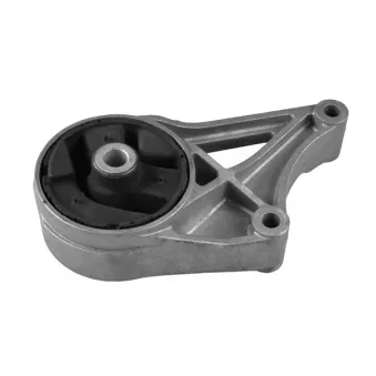 Support moteur TEDGUM 00507911