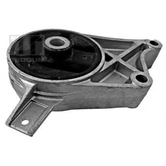 Support moteur TEDGUM 00507914
