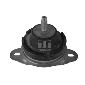 Support moteur avant droit TEDGUM 00514176