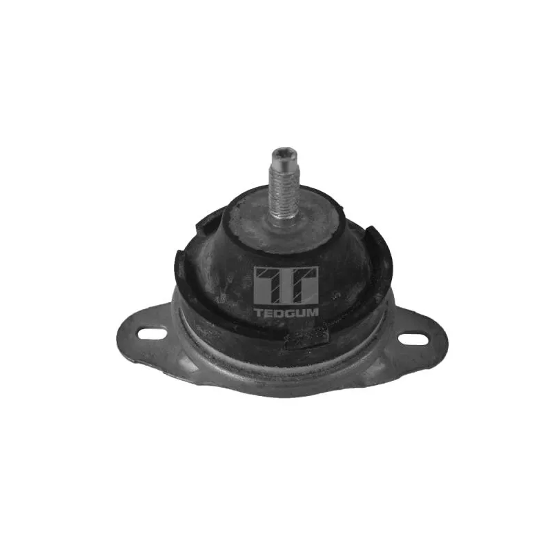 Support moteur avant droit TEDGUM 00514176