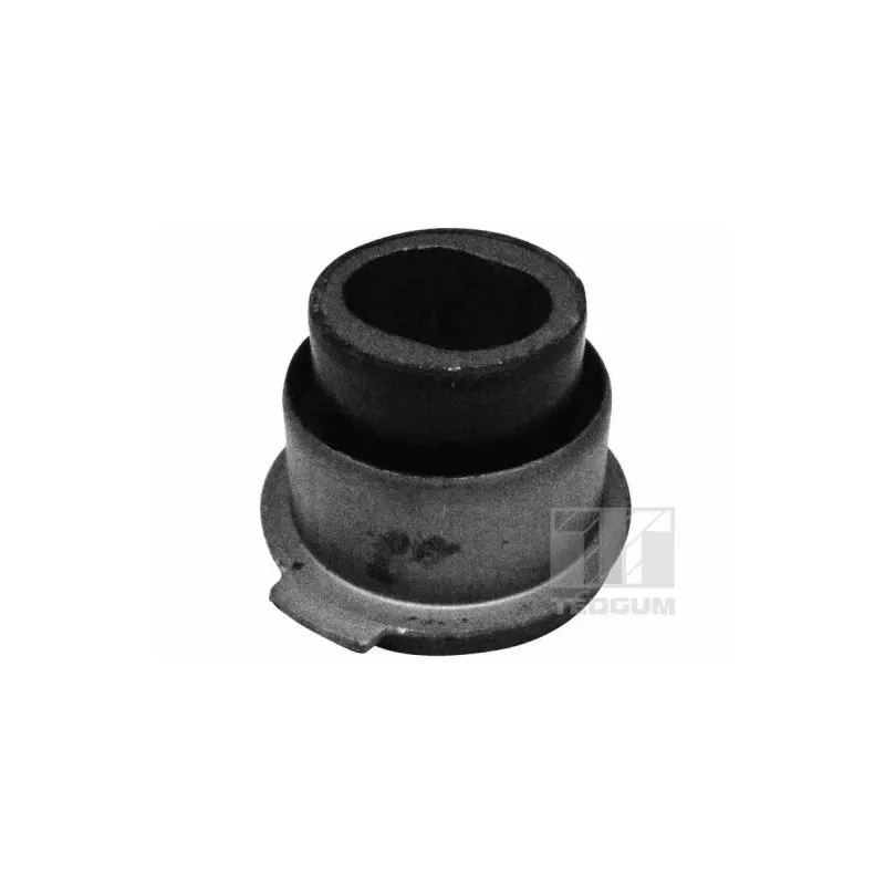 Suspension, corps de l'essieu avant droit TEDGUM 00515794