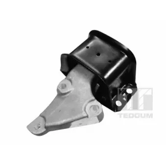 Support moteur avant droit TEDGUM