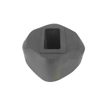 Support moteur avant droit TEDGUM 00517118