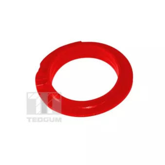 Fixation de ressort TEDGUM 00519669