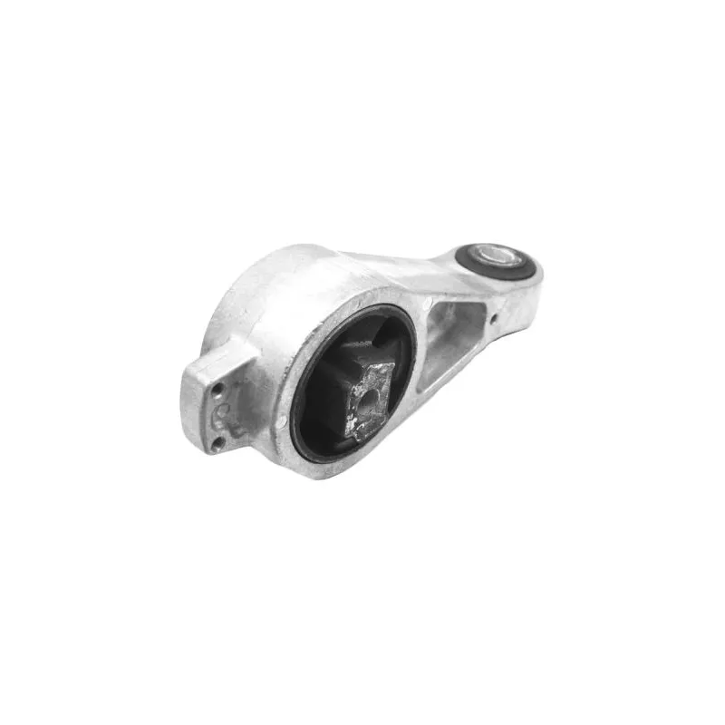 Support moteur TEDGUM 00533218