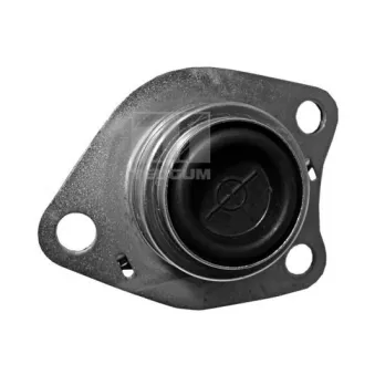 Support moteur avant droit TEDGUM 00580609