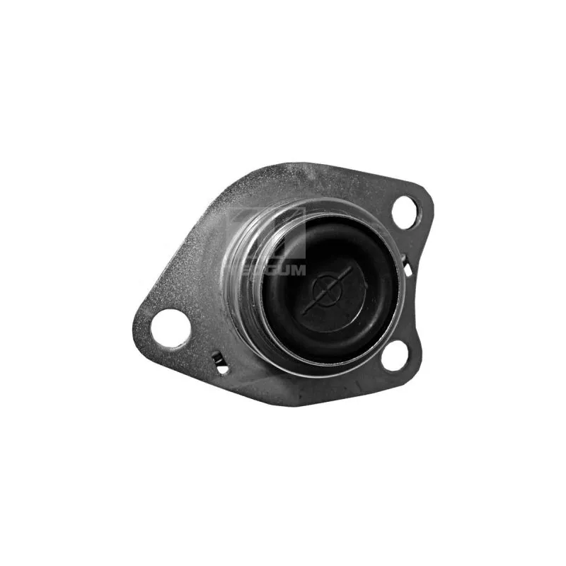 Support moteur avant droit TEDGUM 00580609