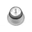 Suspension, corps de l'essieu TEDGUM 00581387 - Visuel 2