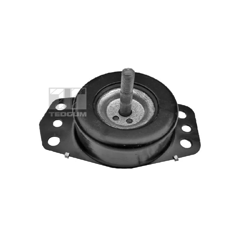 Support moteur avant droit TEDGUM 00585736