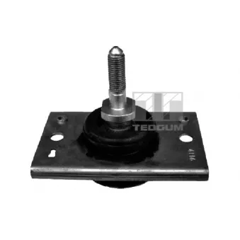 Support moteur TEDGUM 00585738