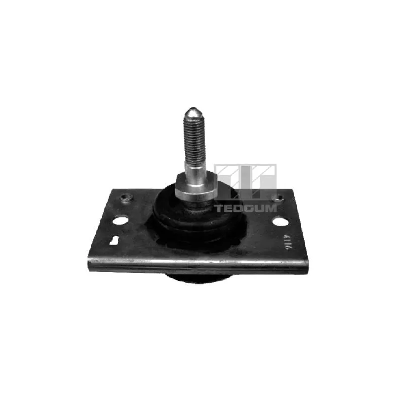 Support moteur TEDGUM 00585738