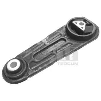 Support moteur TEDGUM 00586572