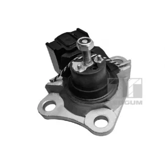 Support moteur avant droit TEDGUM 00586867