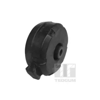 Support moteur TEDGUM 00588804